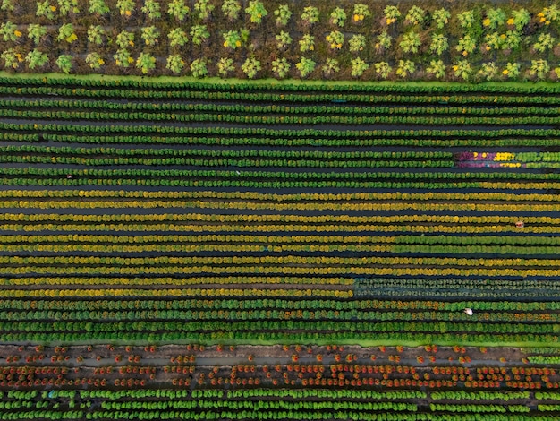Latest Trends in US Food & Agriculture: A Guide to Healthier Eating